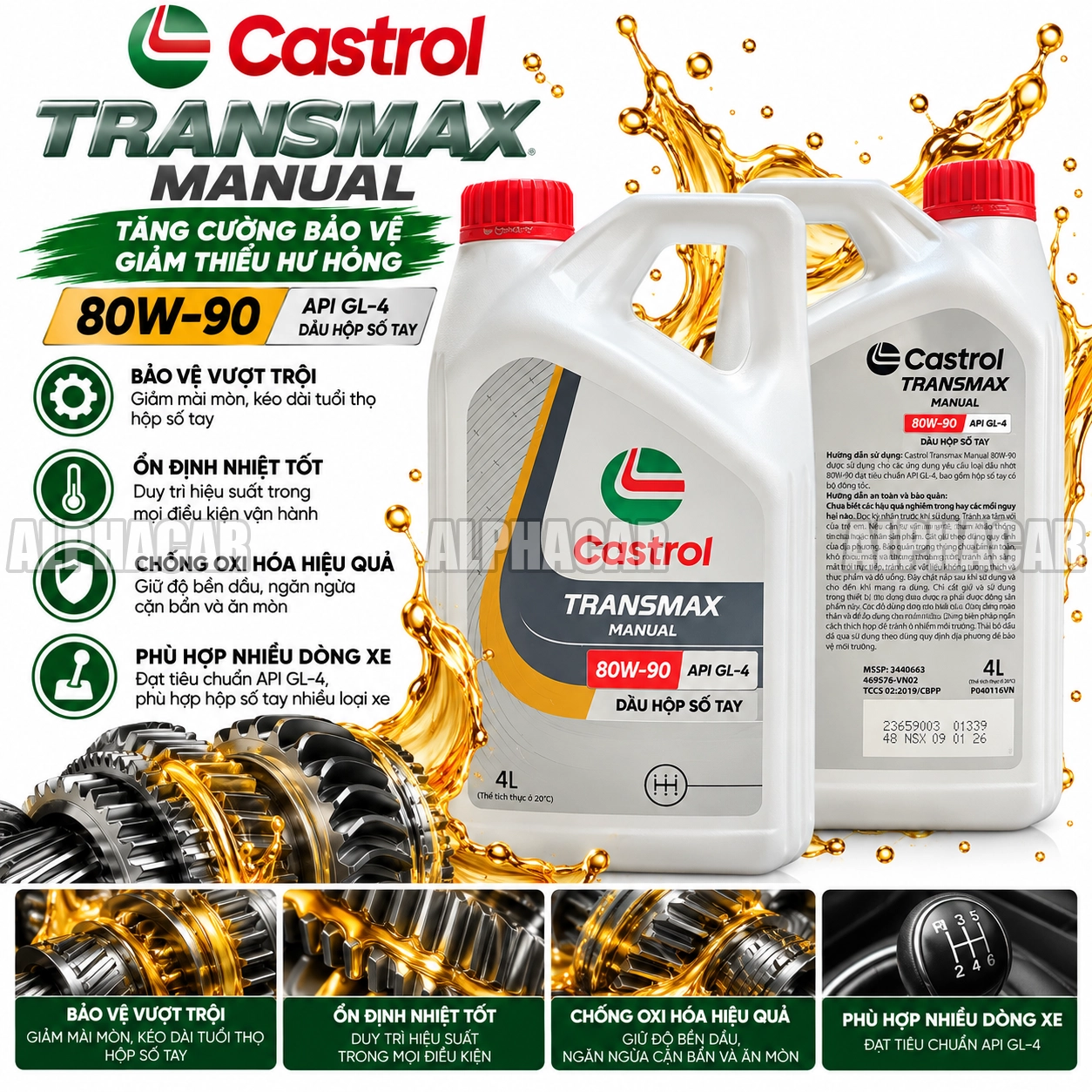 daucaucastrol web2 daucaucastrol web2
