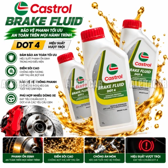dauphanhcastrol web2