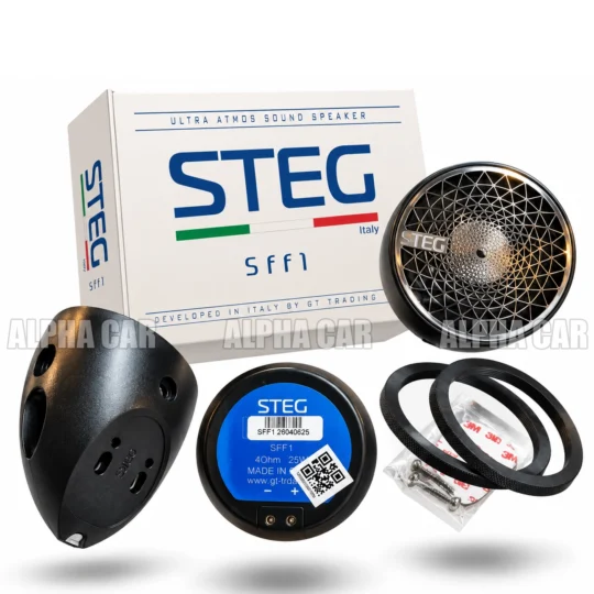 stegsff1 web1