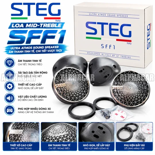 stegsff1 web2