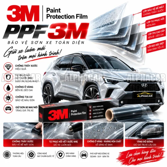 ppf3m web1